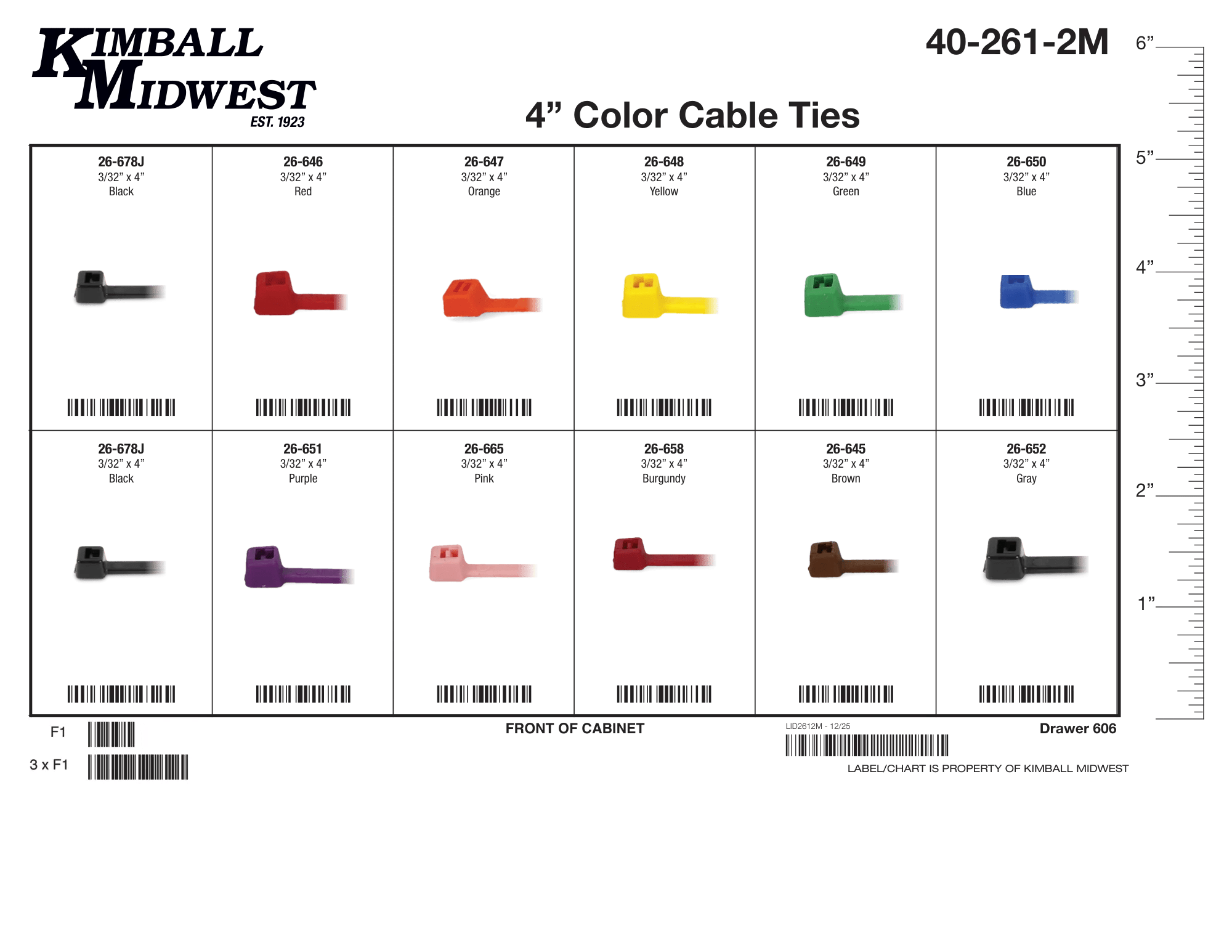 3/32" x 4" Color-Coded Cable Tie Mobile Storage Solution Assortment