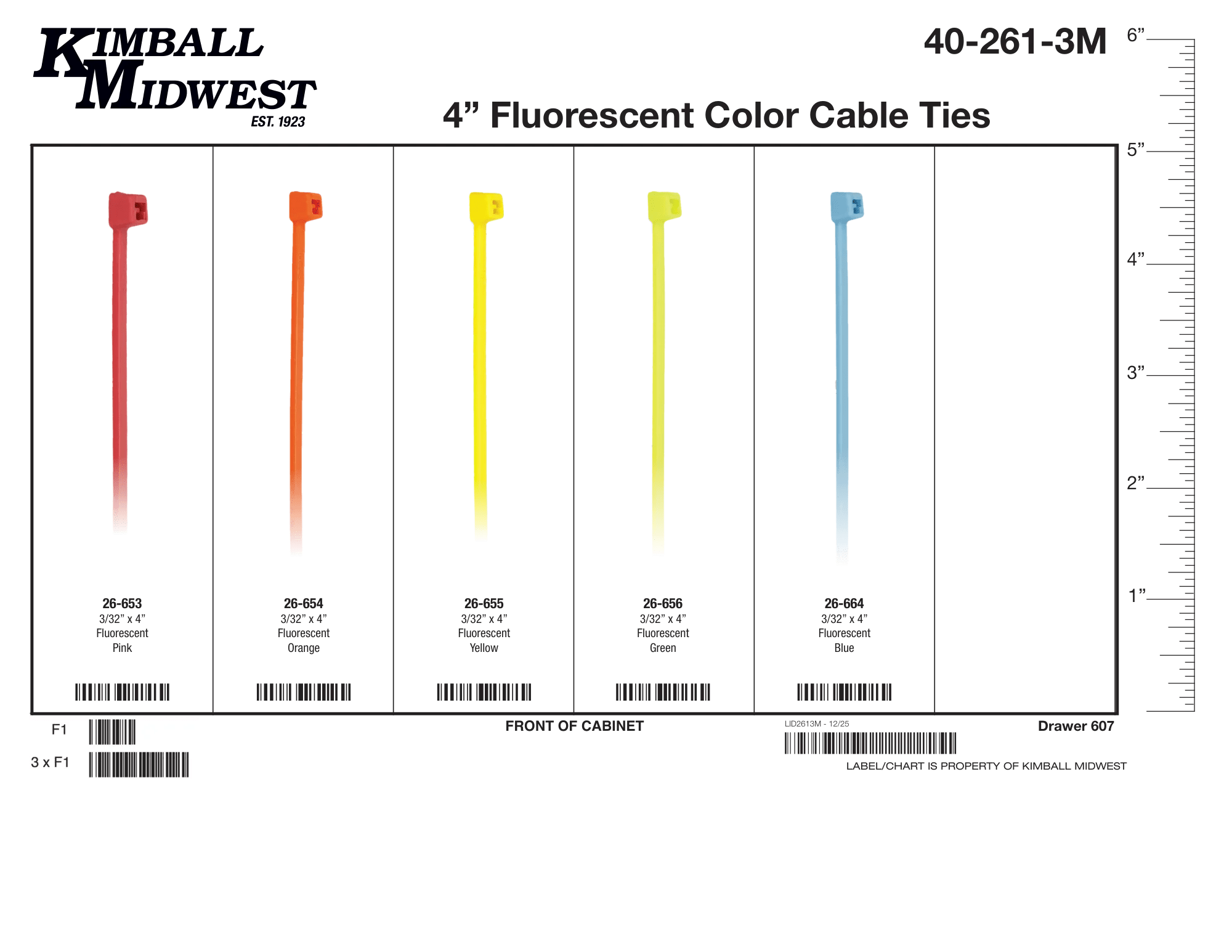 3/32" x 4" Flourescent Color-Coded Cable Tie Mobile Storage Solution Assortment