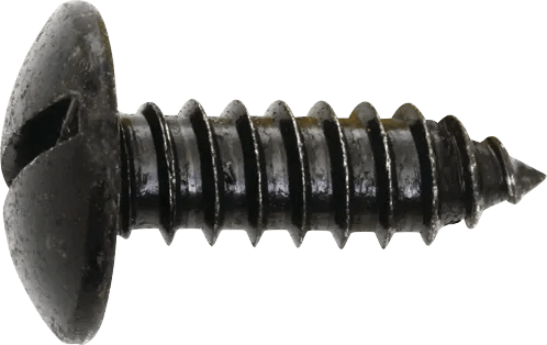 #14 x 3/4" Slotted Truss Head License Plate Screw - 100 Pack