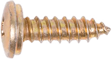 #10 x 5/8" Phillips Wafer Head License Plate Screw for BMW - 25 Pack