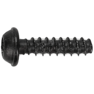 6mm x 12mm Ford Thread Forming Screw - 25 Pack