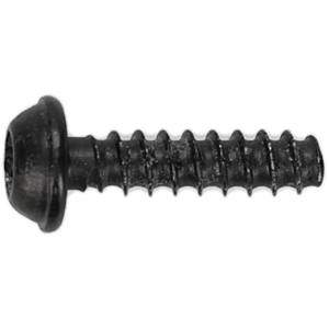 6mm x 12mm Ford Thread Forming Screw