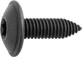 M6 x 20mm Torx® Type/Star Drive Washer Head Bolts