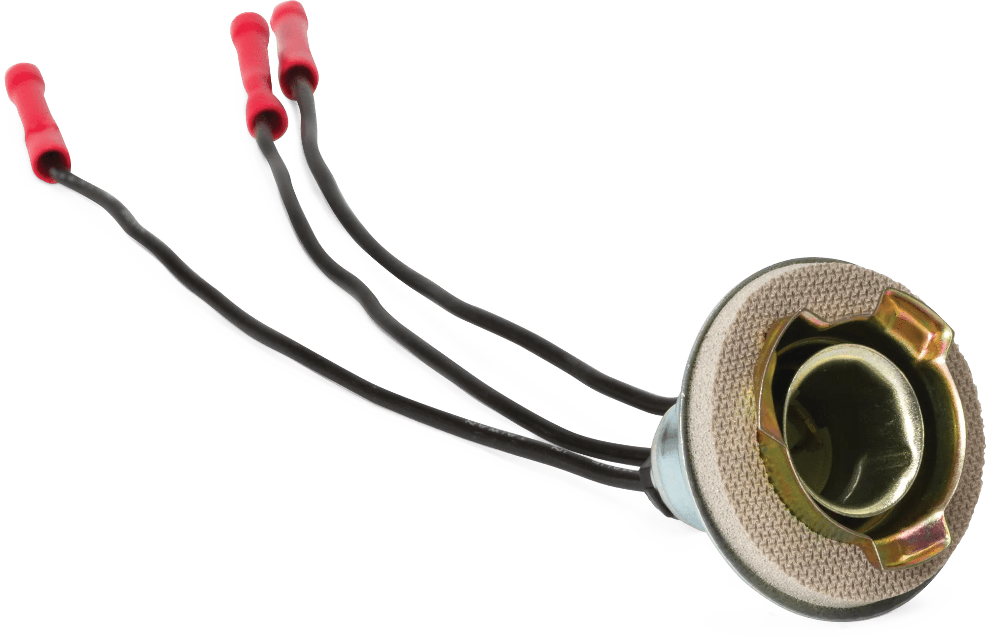 Ford Tail Lamp Pigtail Socket Assembly