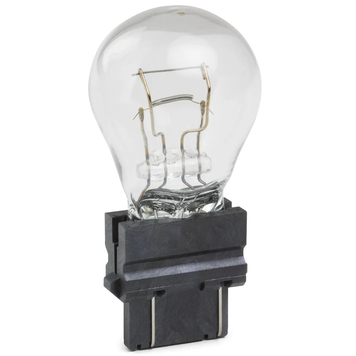 Lamp & Bulb Assortments