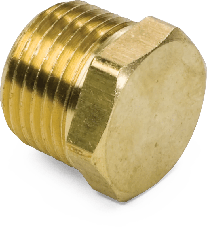 1/4"  Brass Pipe Hex Head Plug