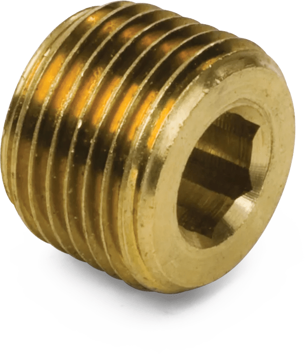 1/4" Brass Pipe Hex Socket Plug