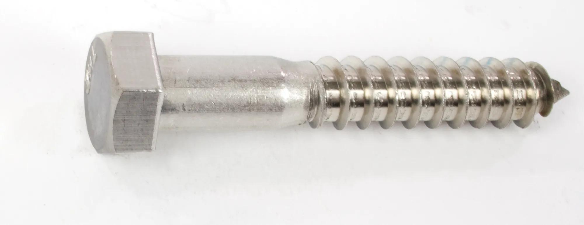 3/8" x 2" 18-8 Stainless Steel (SAE) Hex Head Lag Screw - 10 Pack