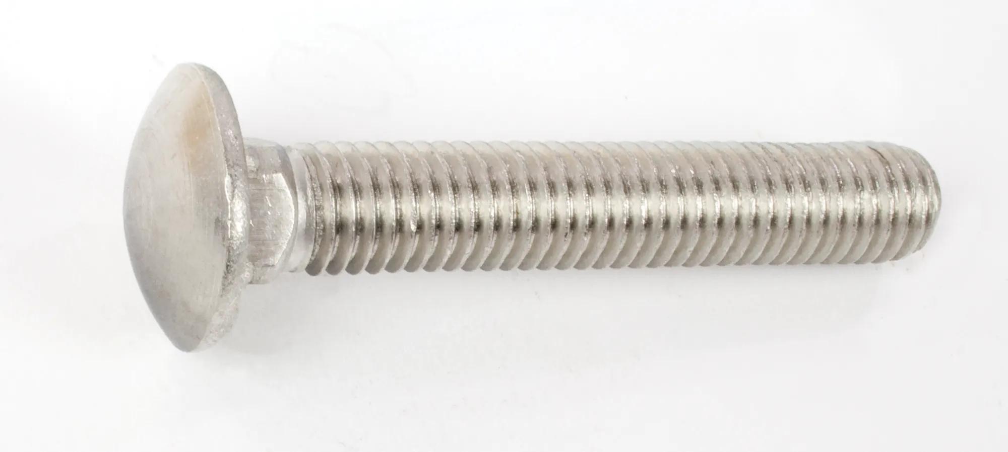 1/2"-13 x 2" 18-8 Stainless Steel (USS) Round Head Carriage Bolt - 10 Pack