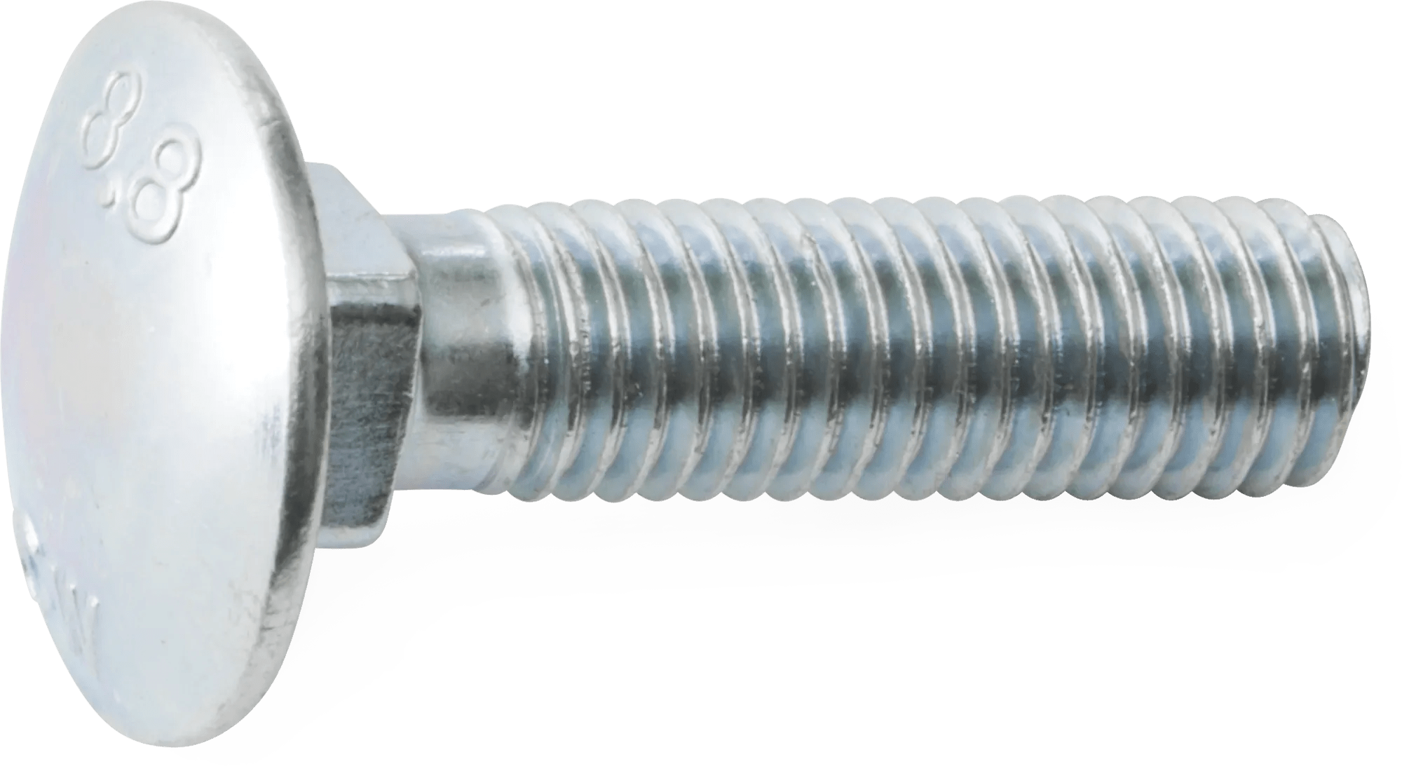 M6 x 1.0 x 40 Carriage Bolt - 25 Pack