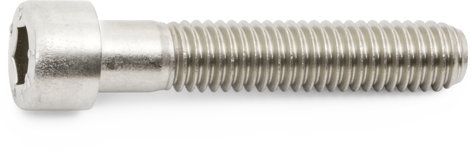 M8 x 1.25 x 25 316 Stainless Steel (Coarse Thread) Socket Head Cap Screw - 10 Pack