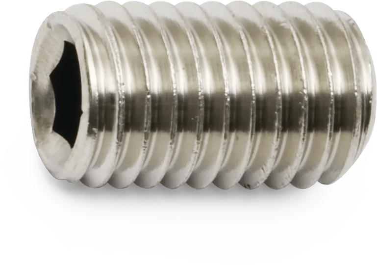 Metric 316 Stainless Steel Socket Set Screws