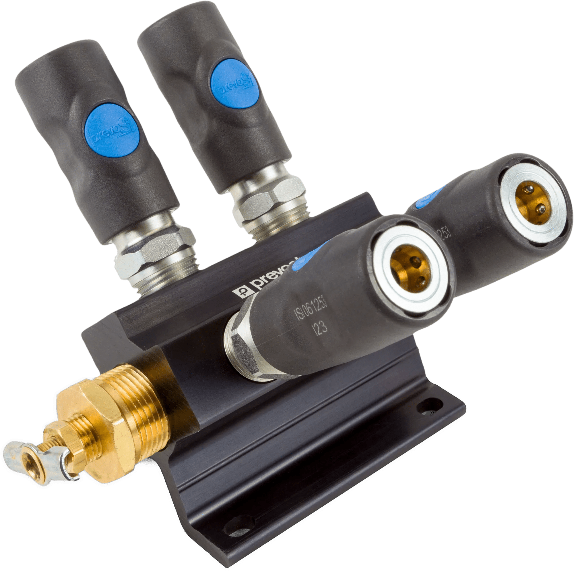 4 Port 3/4" Outlet Wall Manifold with 1/4" Couplers