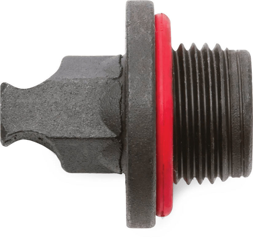 Accufit 3/4"-16 Drain Plug - 2 Pack