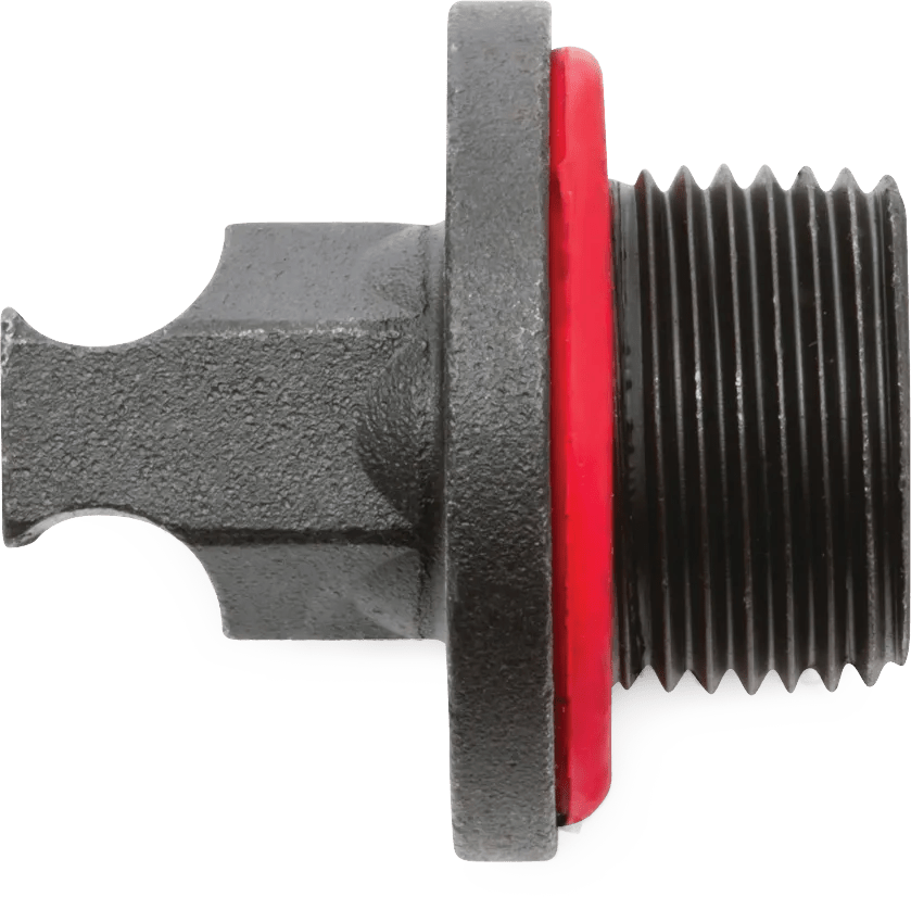 Accufit M20 x 1.5 Drain Plug - 2 Pack