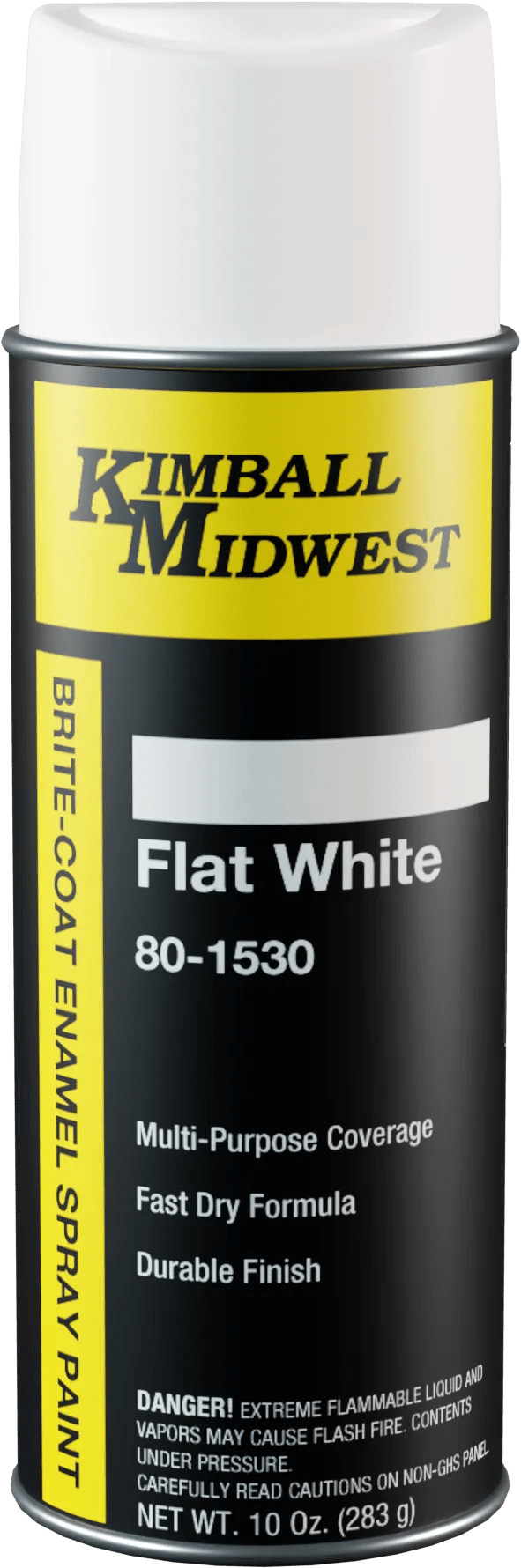 Flat White Brite-Coat Enamel Spray Paint - 16 oz. Can