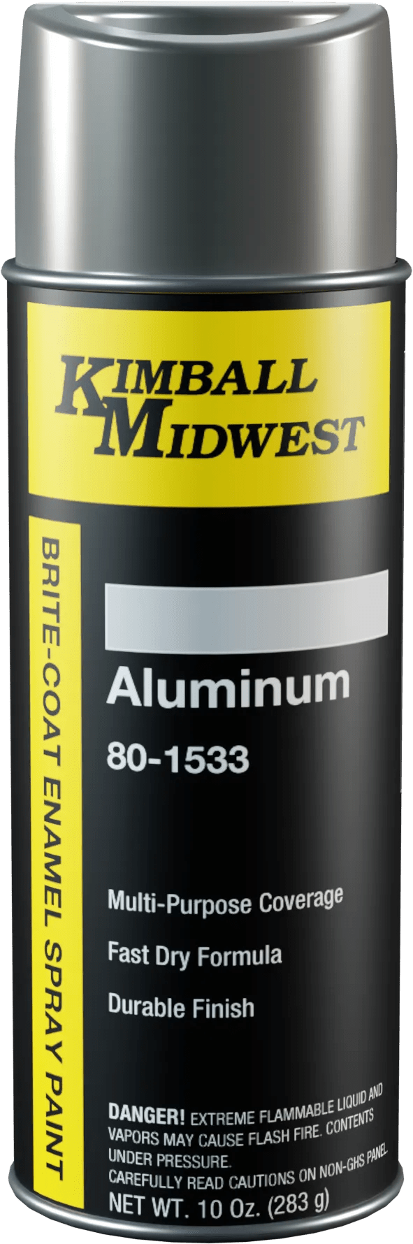 Aluminum Brite-Coat Enamel Spray Paint - 16 oz. Can
