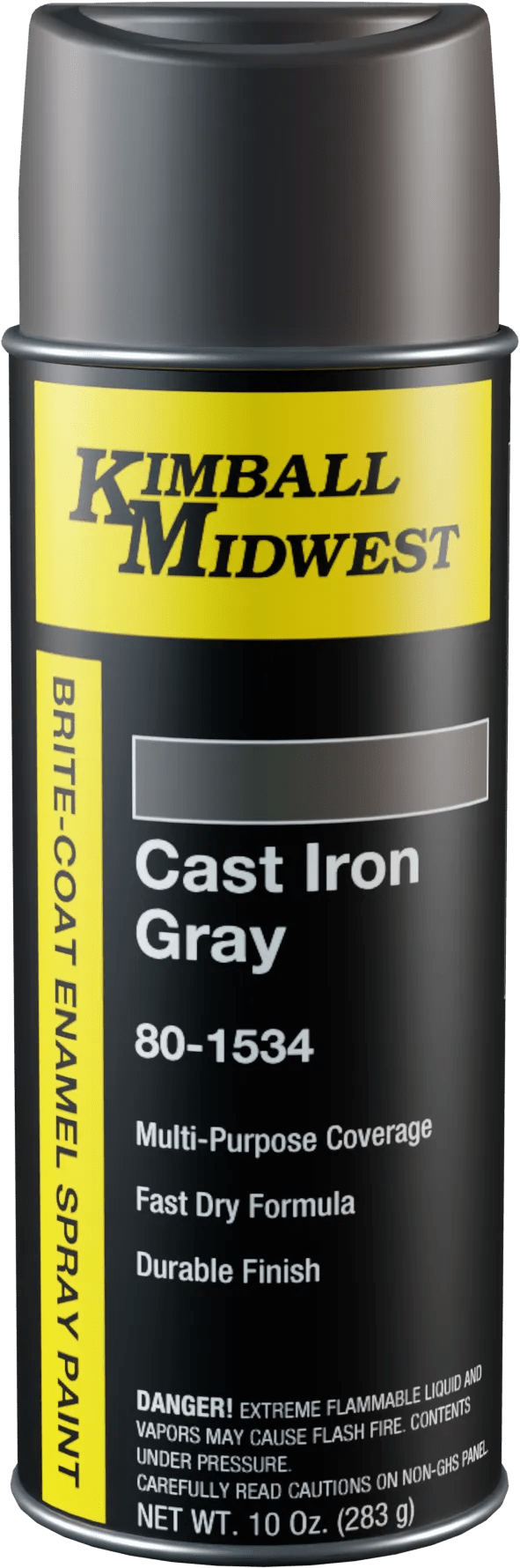 Cast Iron Gray Brite-Coat Enamel Spray Paint - 16 oz. Can