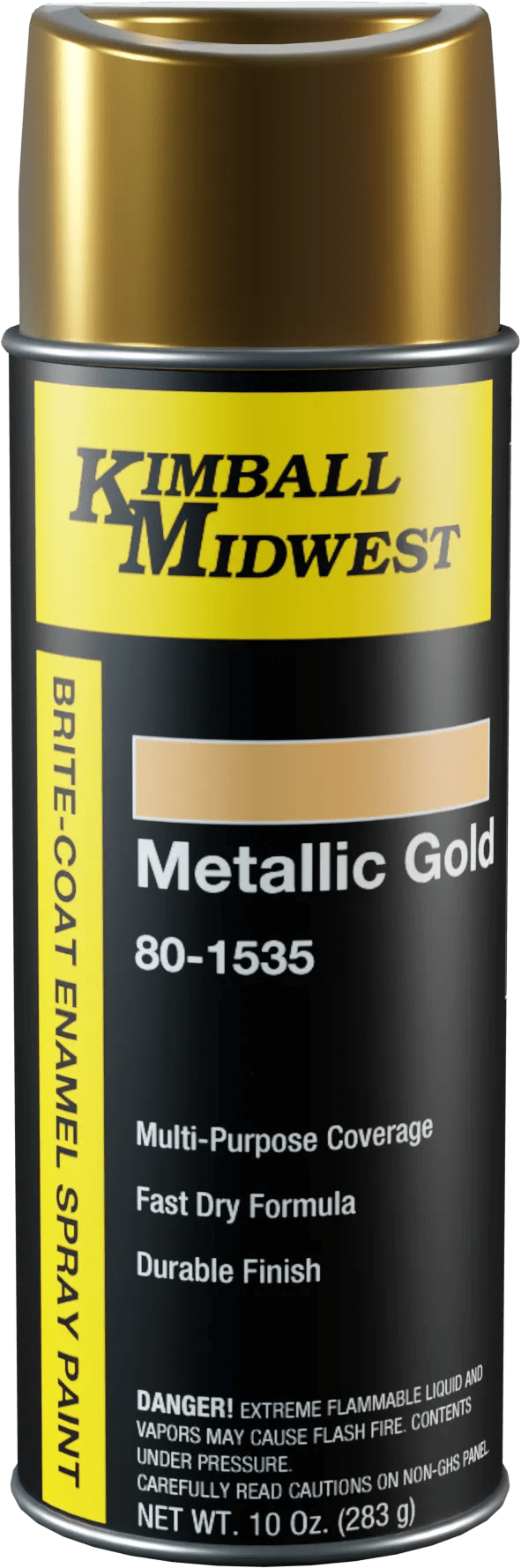 Metallic Gold Brite-Coat Enamel Spray Paint - 16 oz. Can