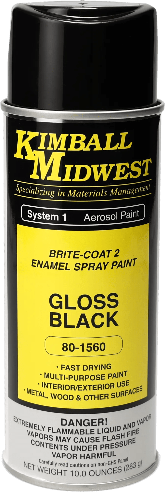 Gloss Black Brite-Coat 2 Enamel Spray Paint - 16 oz. Can - Case - 12 Pack