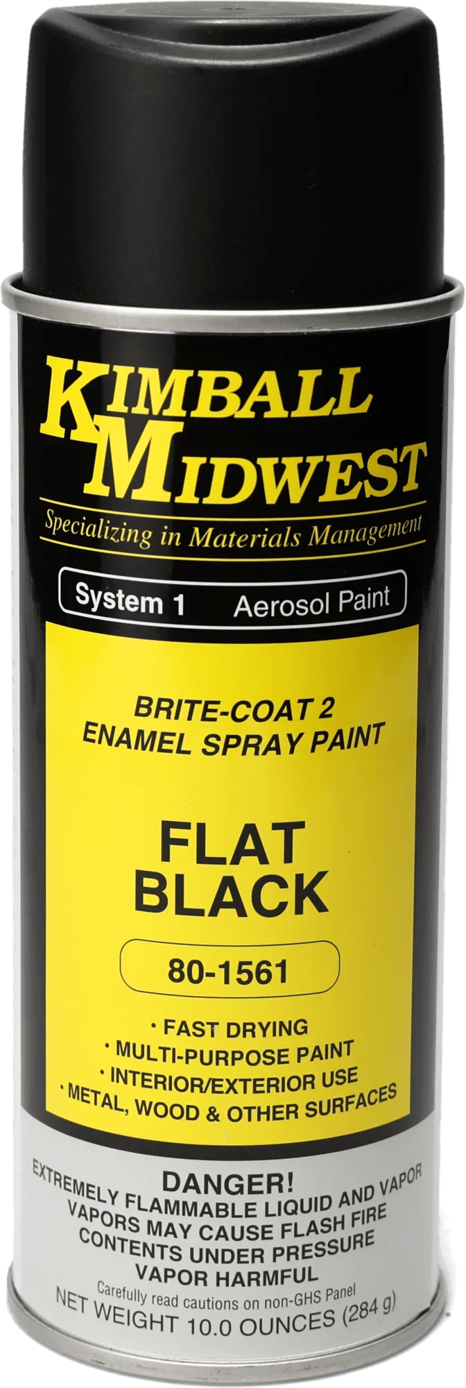 Flat Black Brite-Coat 2 Enamel Spray Paint - 16 oz. Can