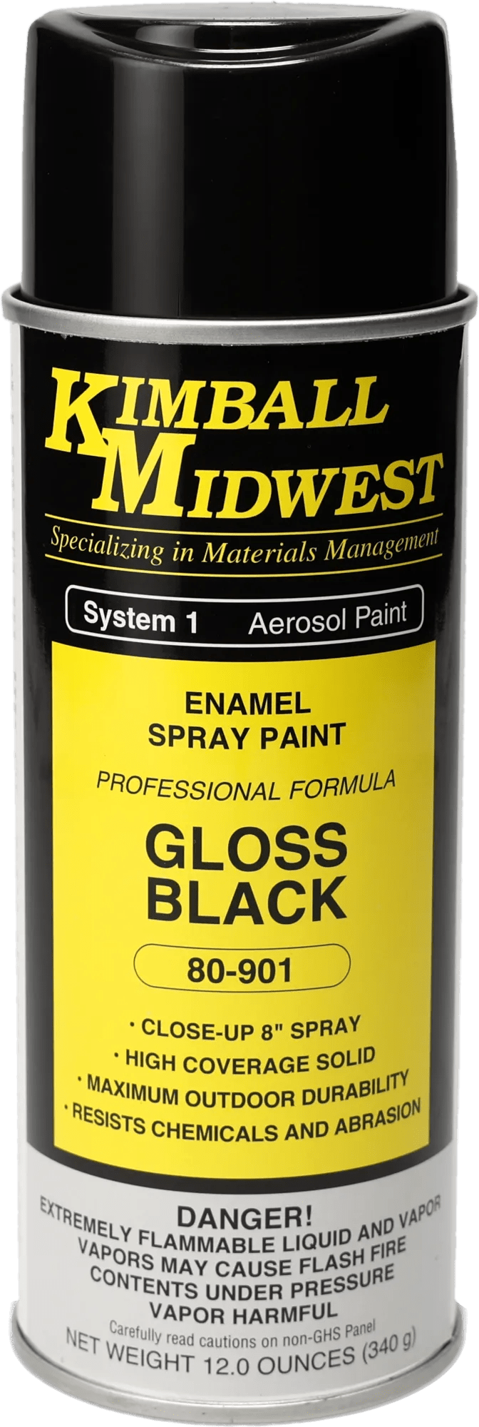 Gloss Black All-Purpose Enamel Spray Paint - 16 oz. Can