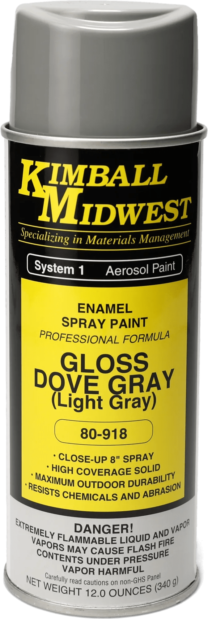 Gloss Dove (Light) Gray All-Purpose Enamel Spray Paint - 16 oz. Can