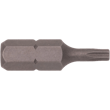 TR10 x 1" Torx® Tamper Resistant Insert Bit