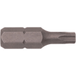 TR20 x 1" Torx® Tamper Resistant Insert Bit