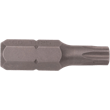 TR25 Torx® Tamper Resistant Insert Bit