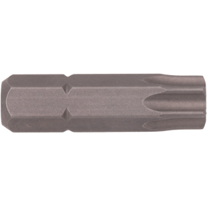 TR40 Torx® Tamper Resistant Insert Bit