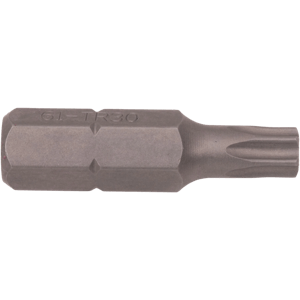 TR30 Torx® Tamper Resistant Insert Bit