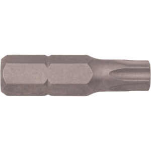 TR40 Torx® Tamper Resistant Insert Bit