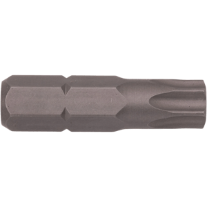 TR45 Torx® Tamper Resistant Insert Bit