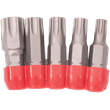 5 Piece Torx® Tamper Resistant Insert Bit Set (TR30 - TR55)