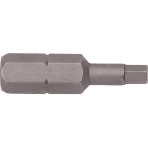 1/8" Hex Tamper Resistant Insert Bit