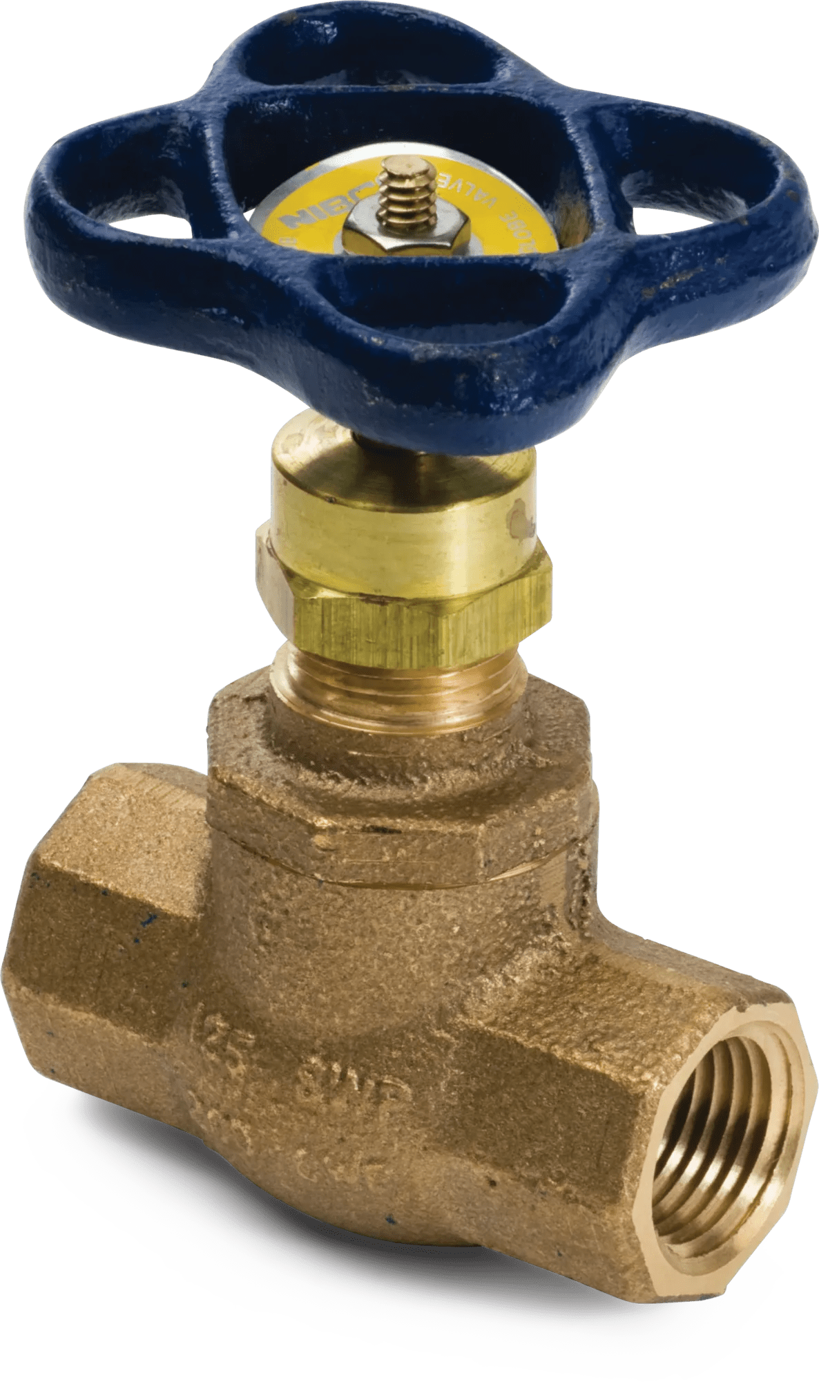 1" Globe Valve
