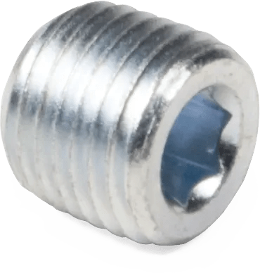 Steel Hex Socket Plugs